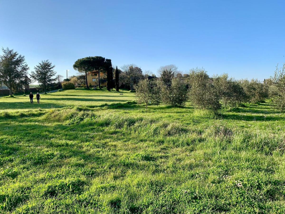 مبيت وإفطار Cesano Il Casale Di Gardenia المظهر الخارجي الصورة